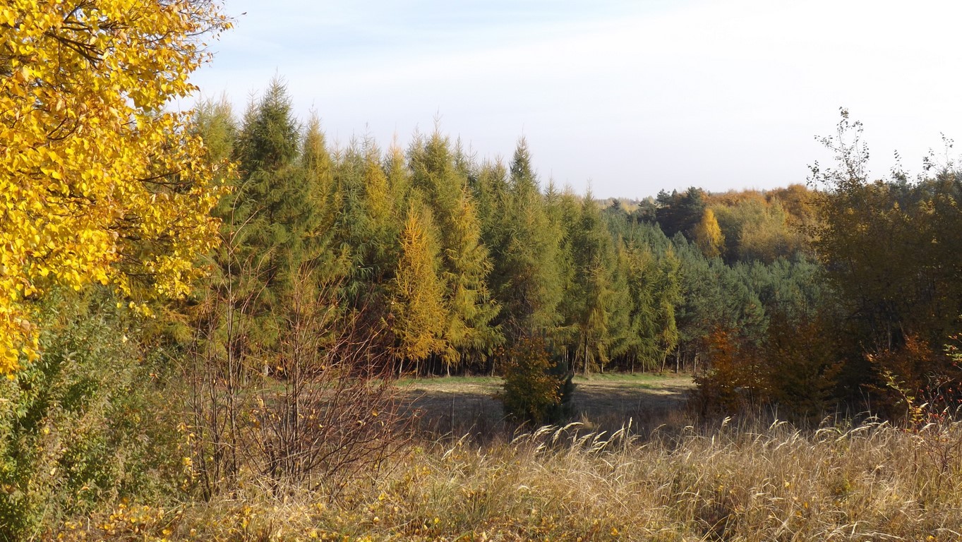 Roztocze jesienią - wyprawa uczniów z RCEZ