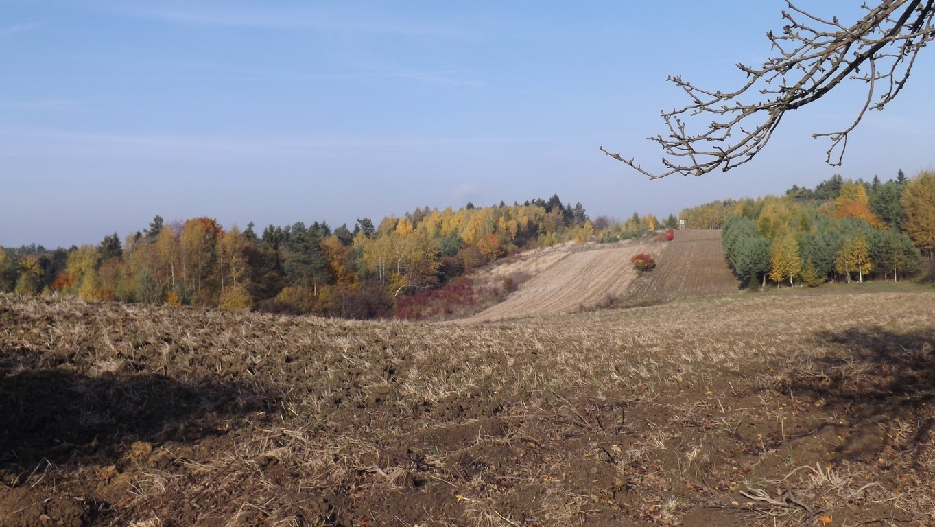 Roztocze jesienią - wyprawa uczniów z RCEZ