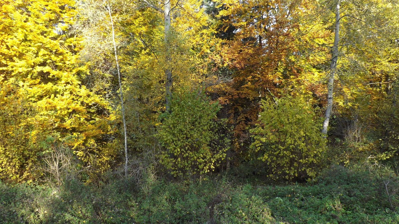 Roztocze jesienią - wyprawa uczniów z RCEZ