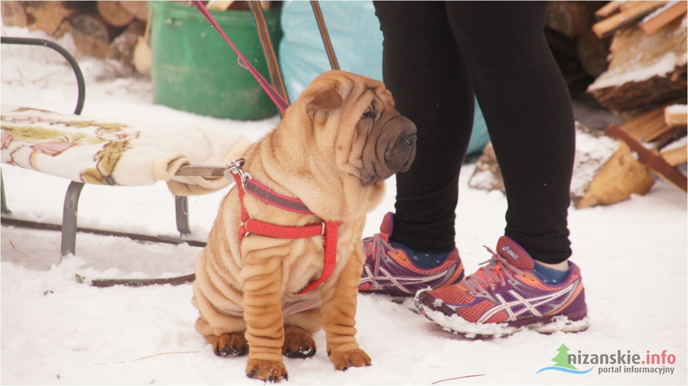 Piknik pełen radości