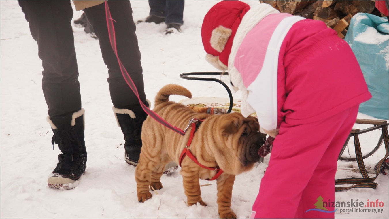 Piknik pełen radości
