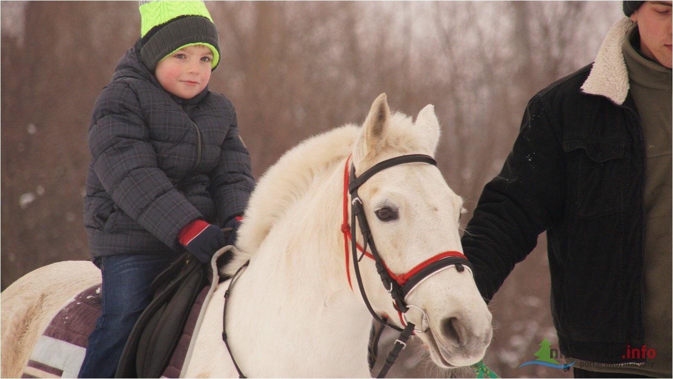 Piknik pełen radości