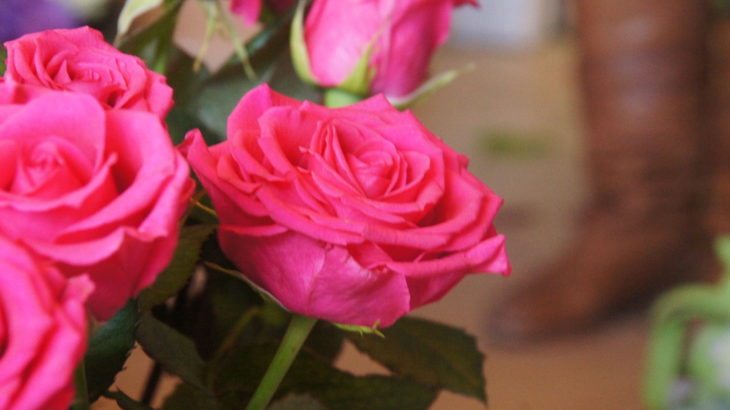 Czy i Ty obchodzisz Walentynki?