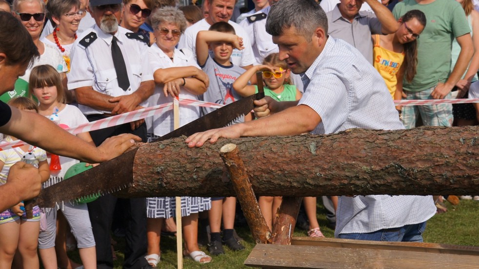 XVII Dożynki Powiatowe ? Ulanów 2016 [ZDJĘCIA, VIDEO]