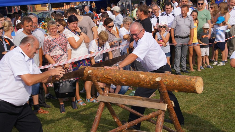 XVII Dożynki Powiatowe ? Ulanów 2016 [ZDJĘCIA, VIDEO]