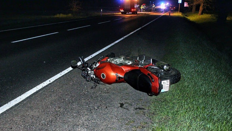 Łoś spowodował wypadek motocykla