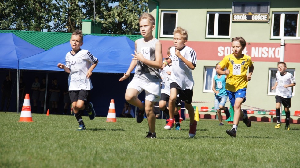 Dwa Dni Niska 2016 i Moc atrakcji! [Zdjęcia, video]