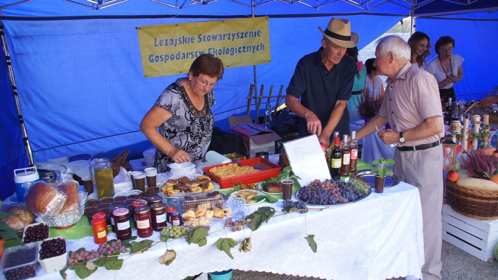 Powidlaki 2016 ? Było głośno i była zabawa! [FOTO, VIDEO]