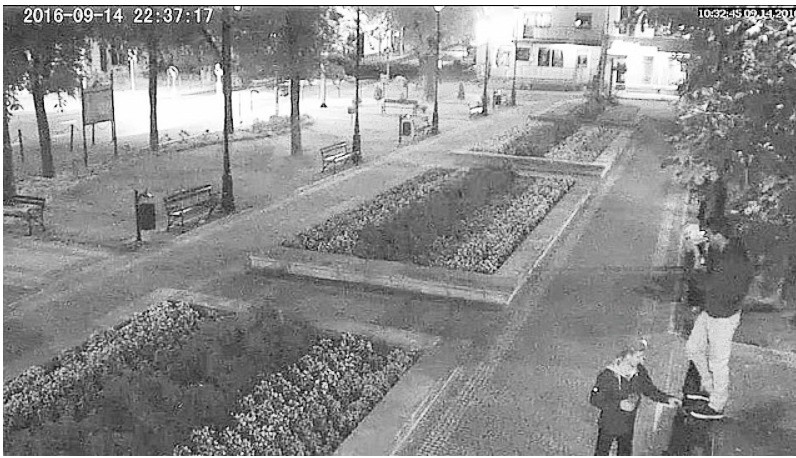 Wszedł na głowę Hrabiny Marii Resseguier