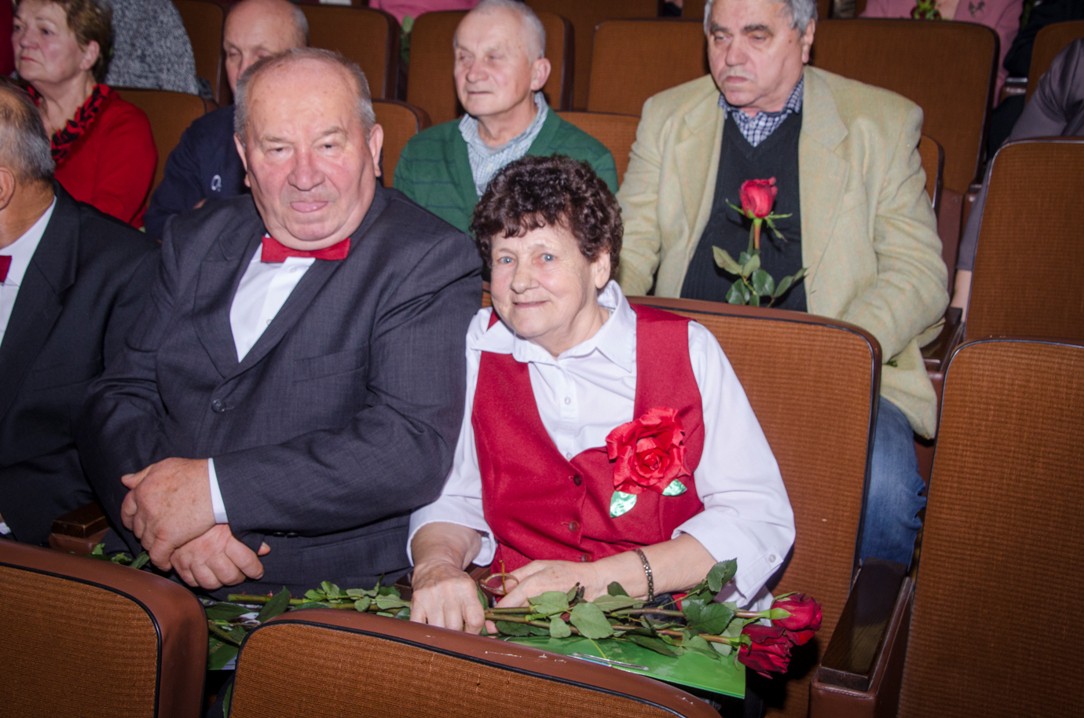 Odznaki za zasługi dla Gminy i Miasta Nisko wręczone
