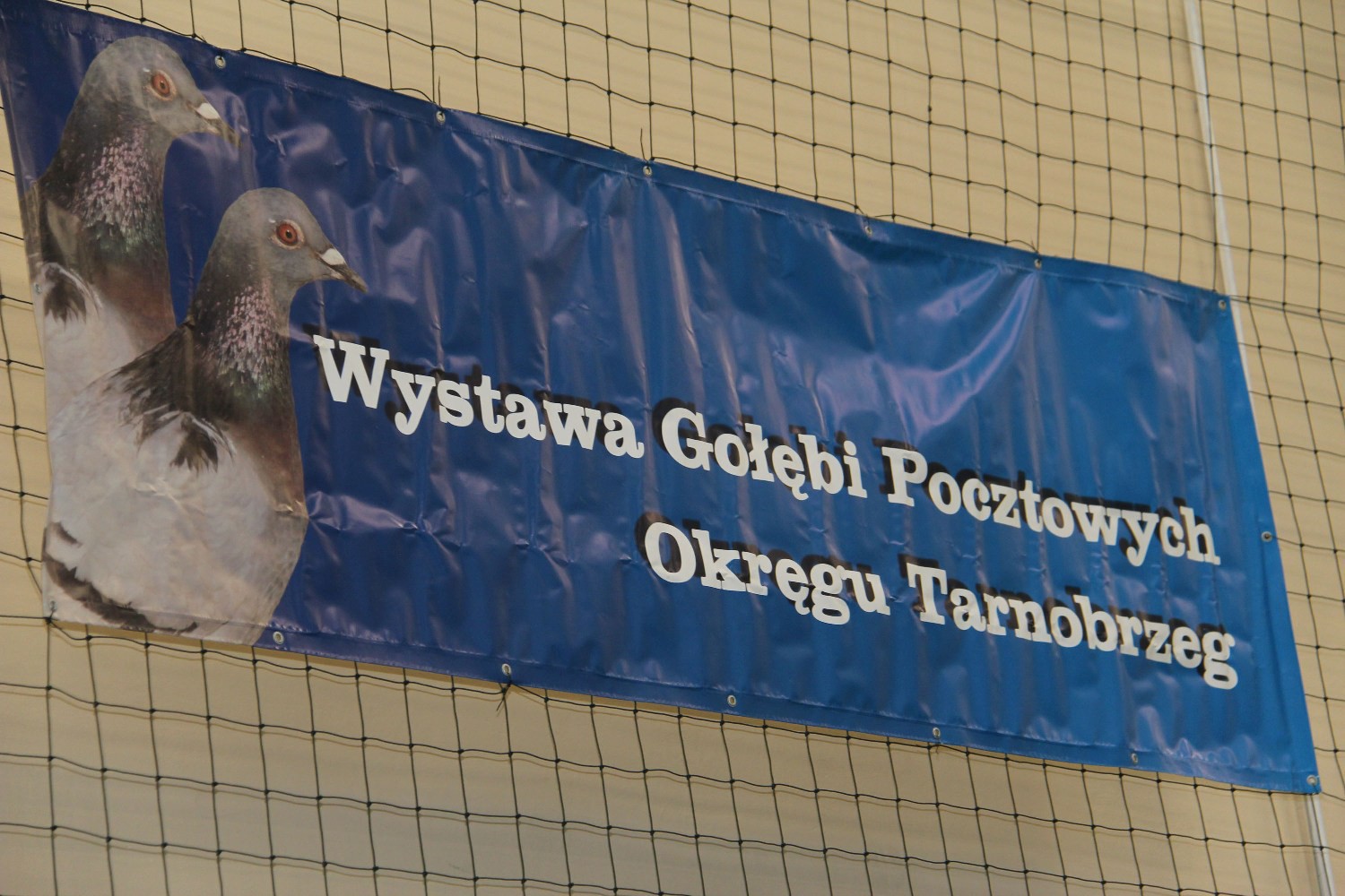 408 gołębi zawitało do Rudnika