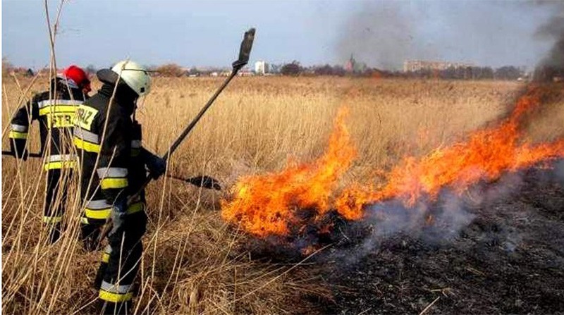 Sezon na wypalanie traw rozpoczęty!