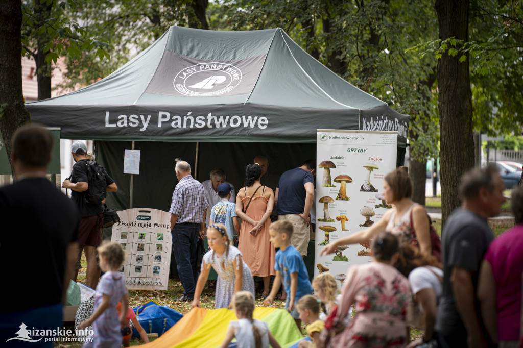 Piknik ekologiczny w Rudniku nad Sanem