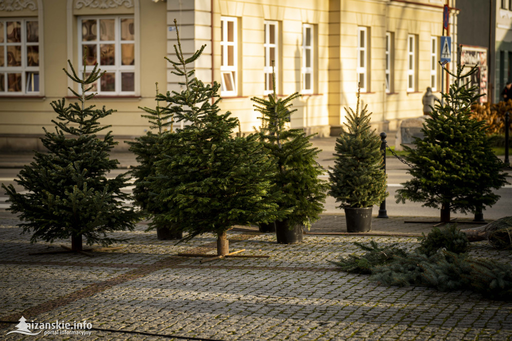 Światełko Pokoju dotarło do Niska