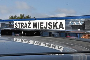 Kombinujesz z piecem? Zapuka strażnik i możesz zapłacić 5 tys. zł kary-9836