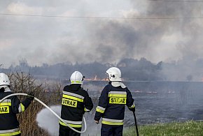 Gdy straci się kontrole nad wypalaniem traw!-10701