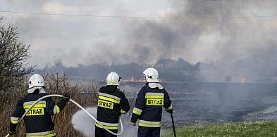 Gdy straci się kontrole nad wypalaniem traw!-10701