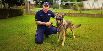 Borys, czworonożny funkcjonariusz w szeregach niżańskiej Policji-10992