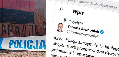 Zatrzymano prowokatora – finał dewastacji pomnika w Domostawie-11051