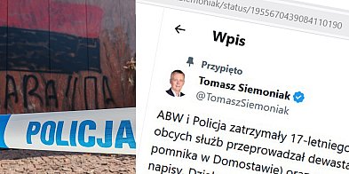 Zatrzymano prowokatora – finał dewastacji pomnika w Dom-11051