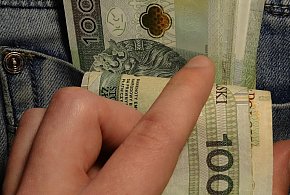 Nowe zasady 800 plus. ZUS sprawdzi zatrudnienie-11198