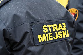 Zapuka strażnik, zapłacisz karę. Ruszyły kontrole w całej Polsce-11456