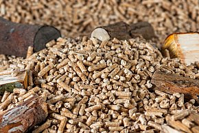 Drożeje popularny opał. Miliony Polaków dostaną po kieszeni tej zimy-11546