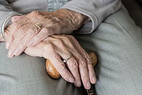 Te osoby dostaną dwie emerytury w grudniu. ZUS przesuwa przelewy-11697