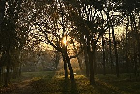 Nadchodzi najkrótszy dzień w 2025 roku. Sprawdź, kiedy przypadnie-11854