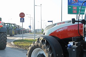 Rolnicy zapowiadają protest w całym kraju. Skala może zaskoczyć-11881