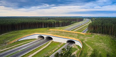 14 firm zainteresowanych wykonaniem dokumentacji S74