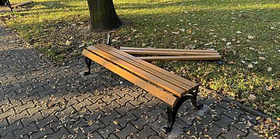 Nastolatkowie zniszczyli ławki. Staną przed sądem!-11454
