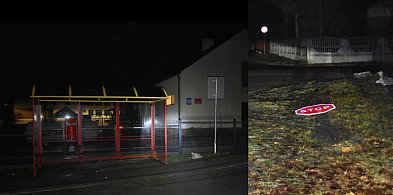 Kolejni nastoletni wandale zatrzymani za dokonanie zniszczeń!-11757