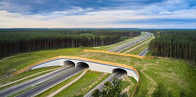 14 firm zainteresowanych wykonaniem dokumentacji S74