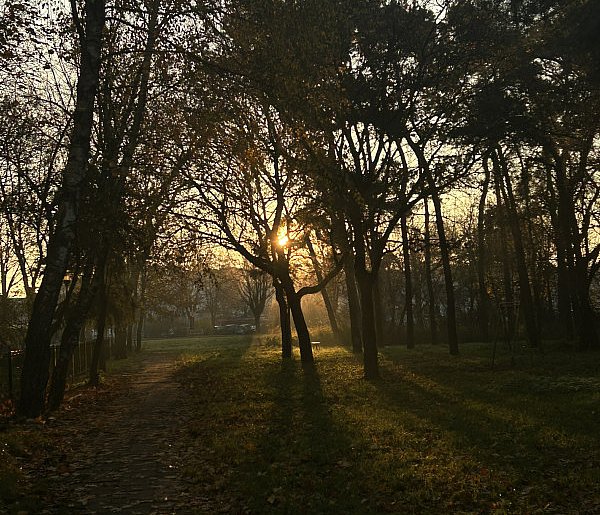 Nadchodzi najkrótszy dzień w 2025 roku. Sprawdź, kiedy przypadnie-11854