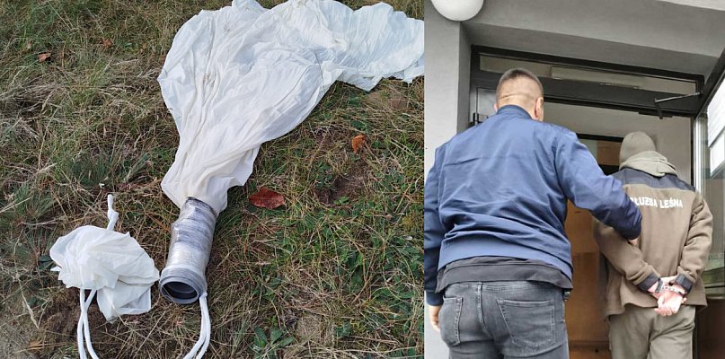 "Baloniarze" podszywali się za służbę leśną - 11385