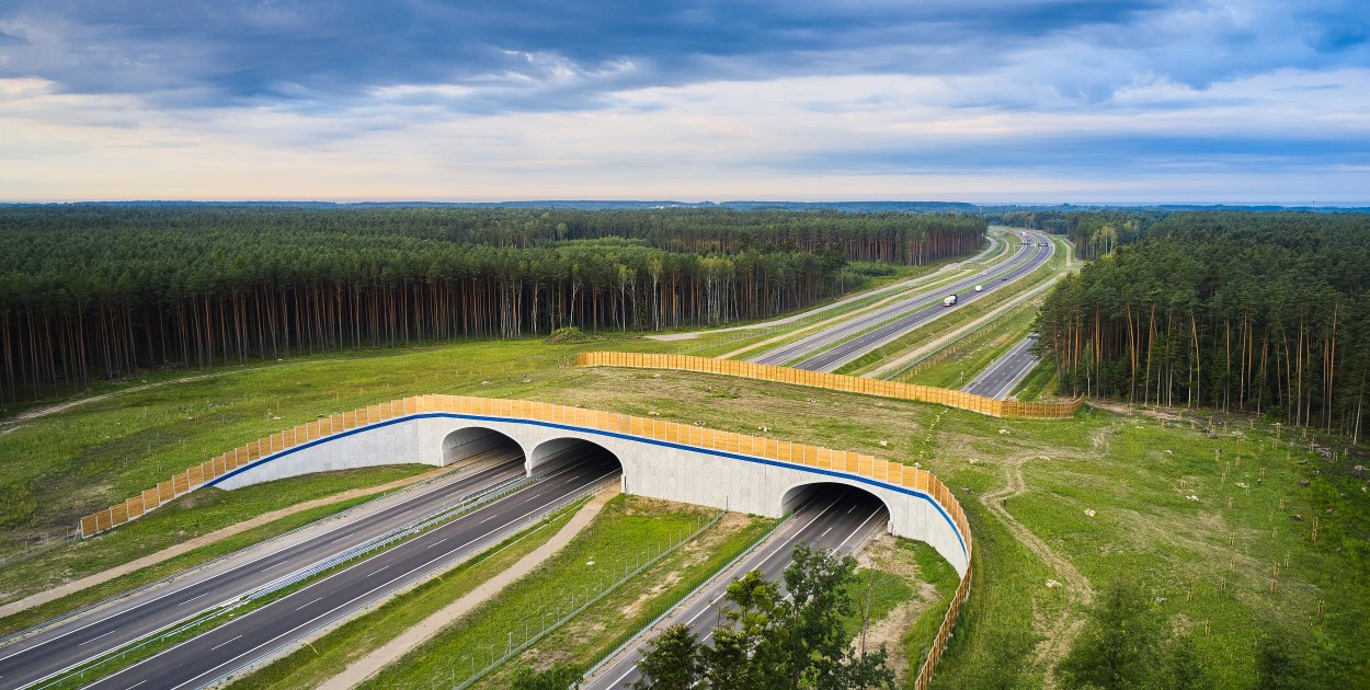 14 firm zainteresowanych wykonaniem dokumentacji S74